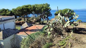 Rosas - Le Phare - 12